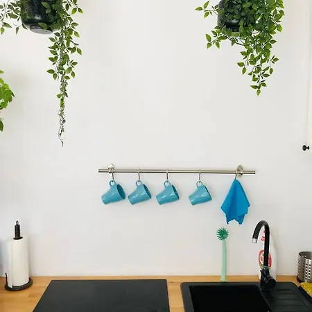 Piano W Sercu Starego Miasta *