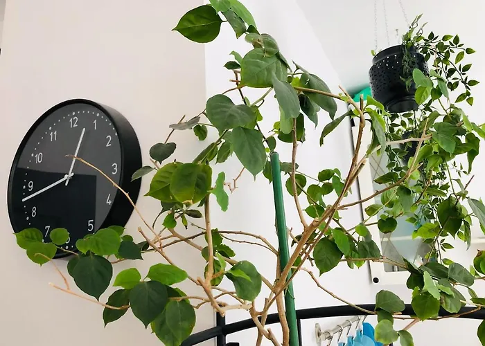 Piano W Sercu Starego Miasta 格但斯克